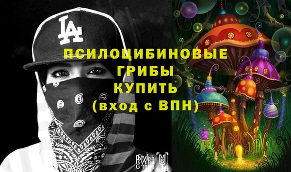 мяу мяу мука Каменногорск