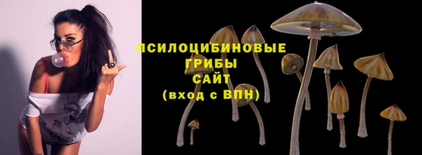 мяу мяу мука Каменногорск