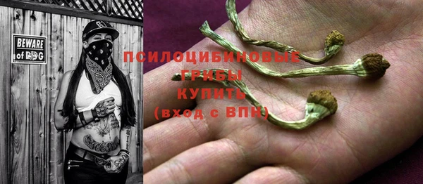 COCAINE Каменка
