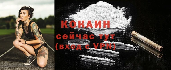 COCAINE Каменка