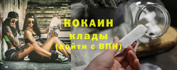 мяу мяу мука Каменногорск