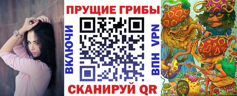 Псилоцибиновые грибы Psilocybine cubensis  Купить где  Елабуга 