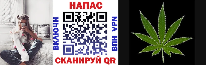 Конопля MAZAR Елабуга